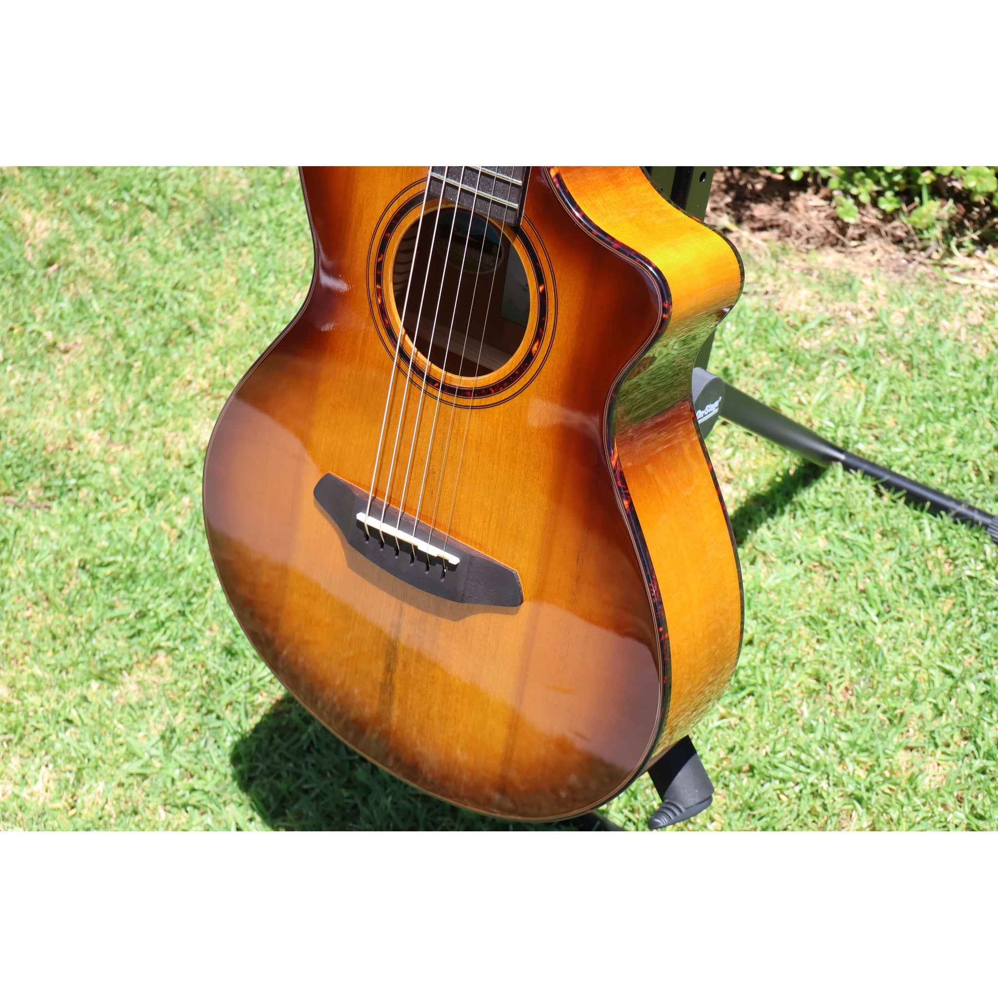 Breedlove Pursuit Exotic S Companion Tiger's Eye CE Myrtlewood-Myrtlewood — CC250205209