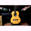 Córdoba C1 Gloss Classical Guitar with Gig Bag