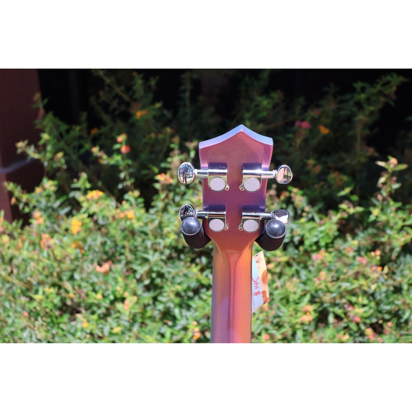 Eddy Finn Ocean King Purple Sparkle Concert Ukulele