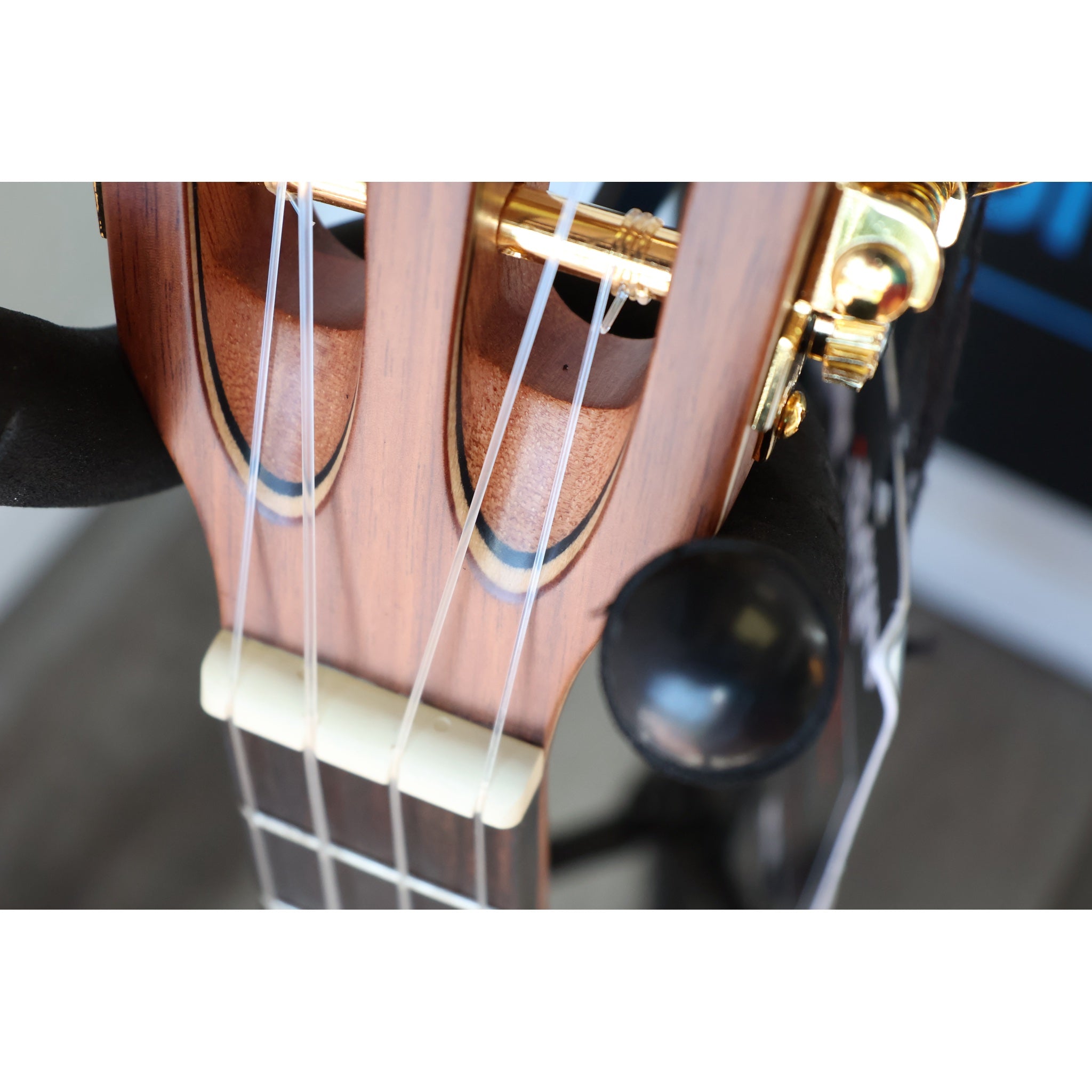 Kala Solid Cedar Top Pau Ferro Tenor Ukulele – KA-ASCP-T