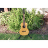 Bedell Bahia Parlor Adirondack Spruce & Brazilian Rosewood Acoustic Guitar – Tea Burst