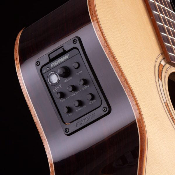 Washburn G25SCE Comfort Deluxe Pau Ferro acoustic-electric guitar