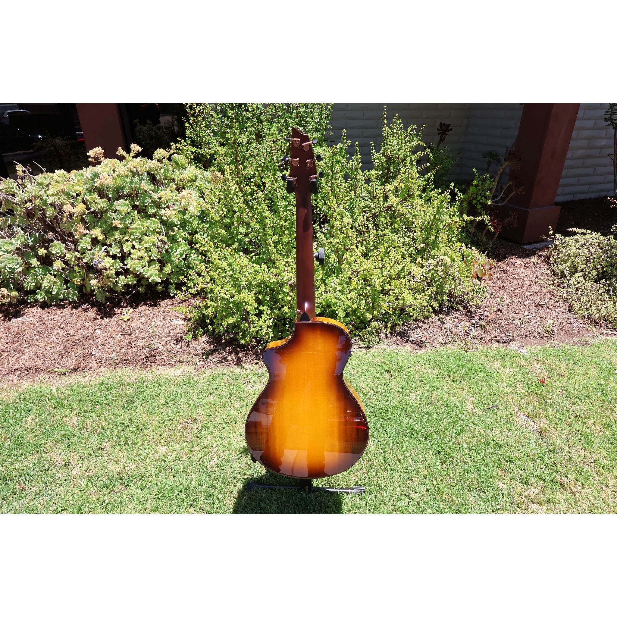Breedlove Pursuit Exotic S Companion Tiger's Eye CE Myrtlewood-Myrtlewood — CC250205209