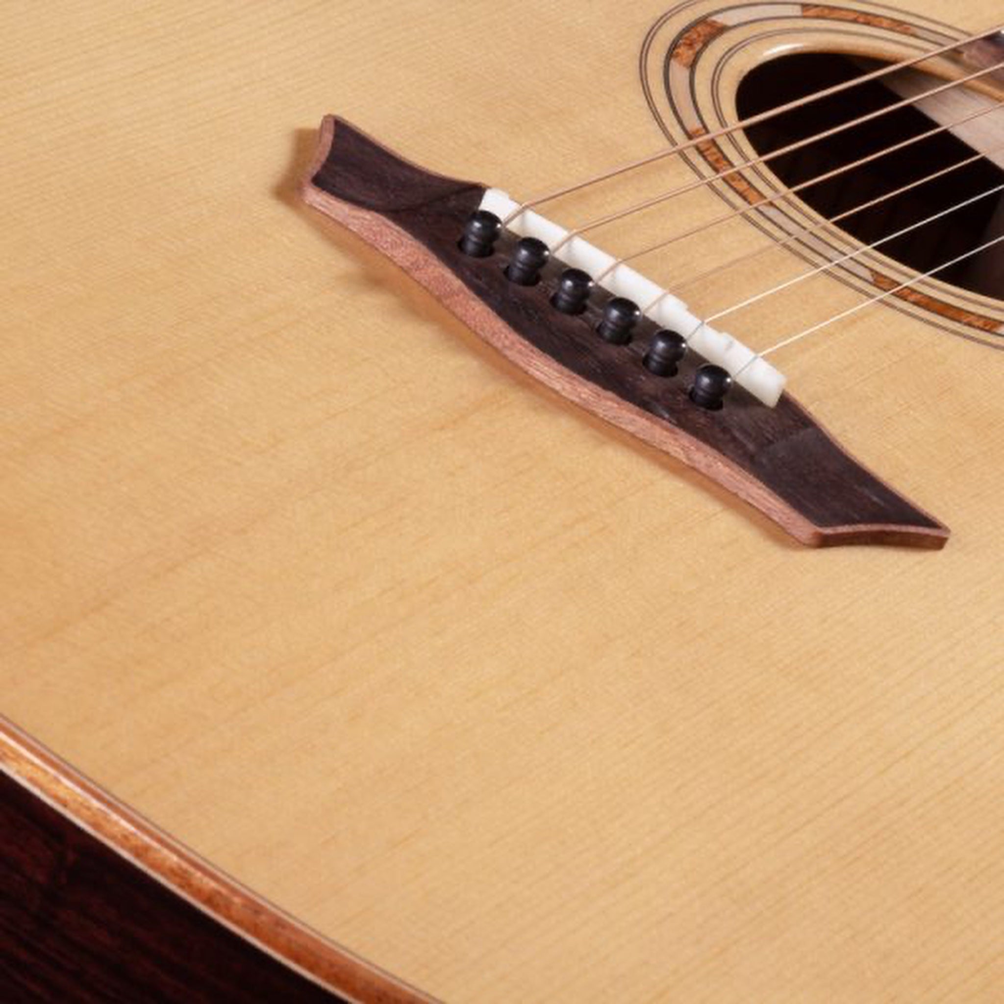 Washburn G25SCE Comfort Deluxe Pau Ferro acoustic-electric guitar
