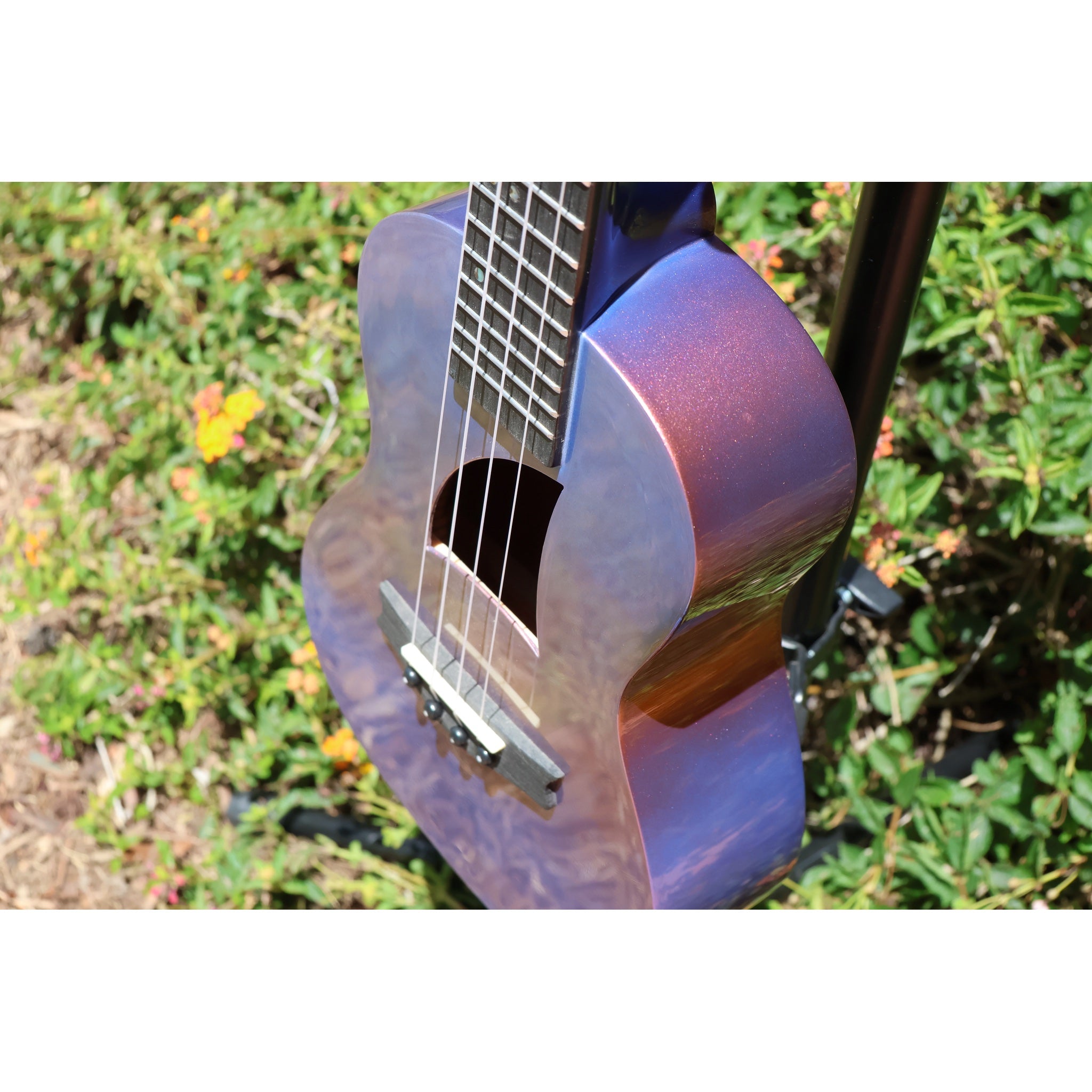 Eddy Finn Ocean King Purple Sparkle Concert Ukulele