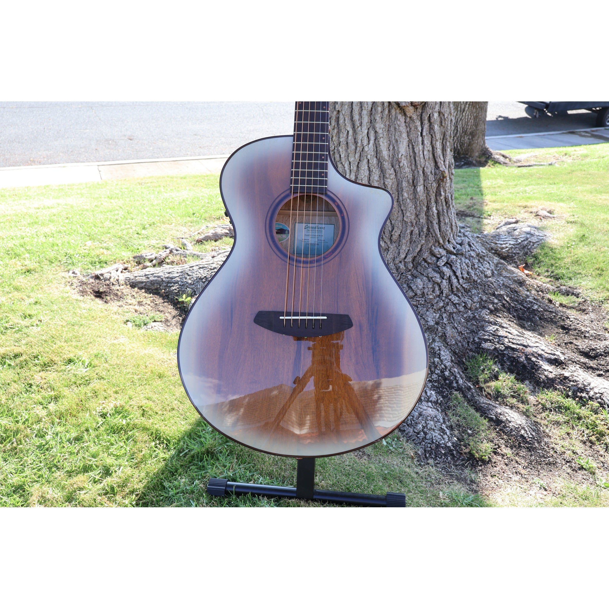 Breedlove Pursuit Exotic S Limited Edition Concert CE Acoustic-Electric Guitar – White Sand