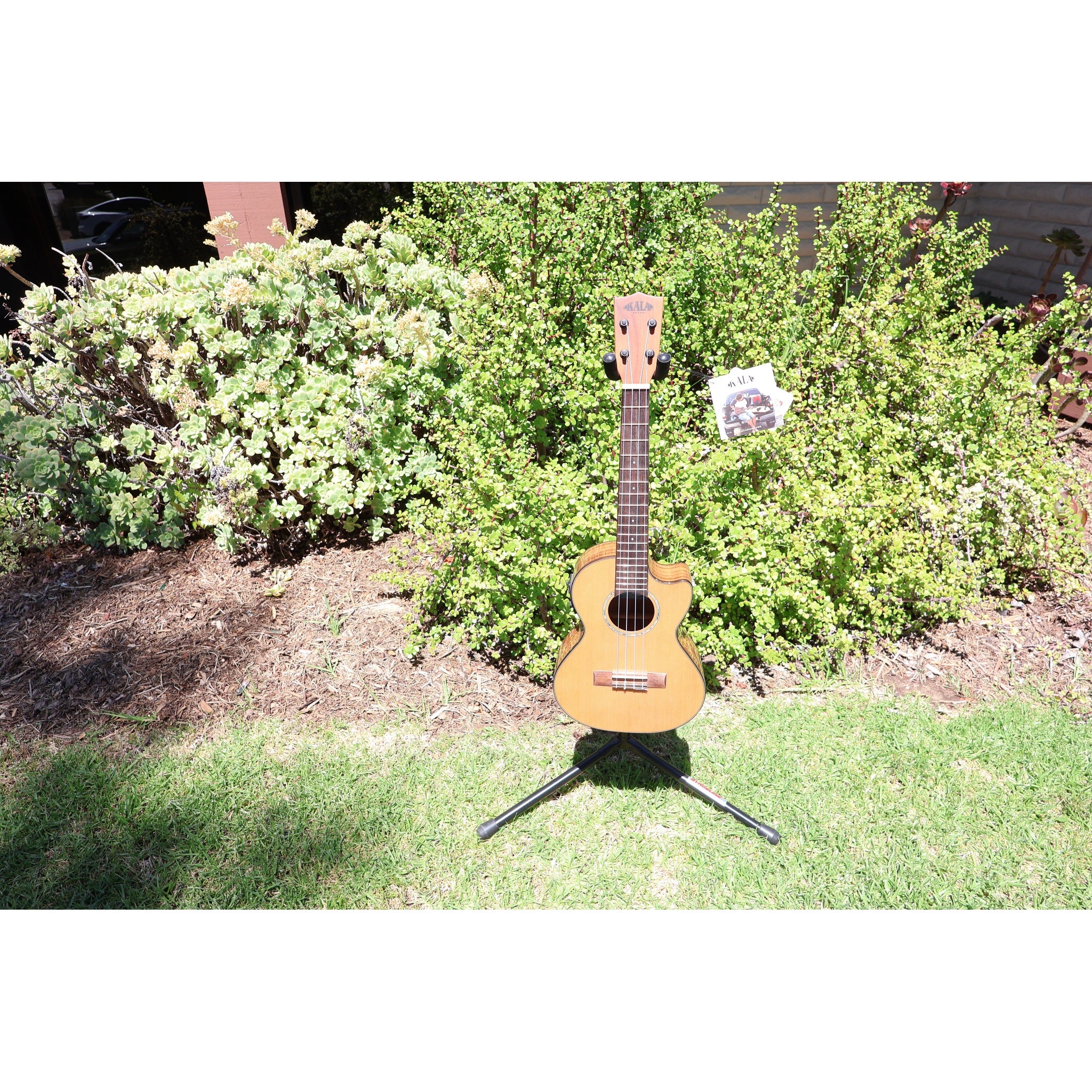 Kala KA-SCAC-T-CE Solid Cedar Top Acacia Tenor Cutaway Acoustic-Electric Ukulele with Fishman Kula EQ