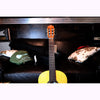 Córdoba C1 Gloss Classical Guitar with Gig Bag