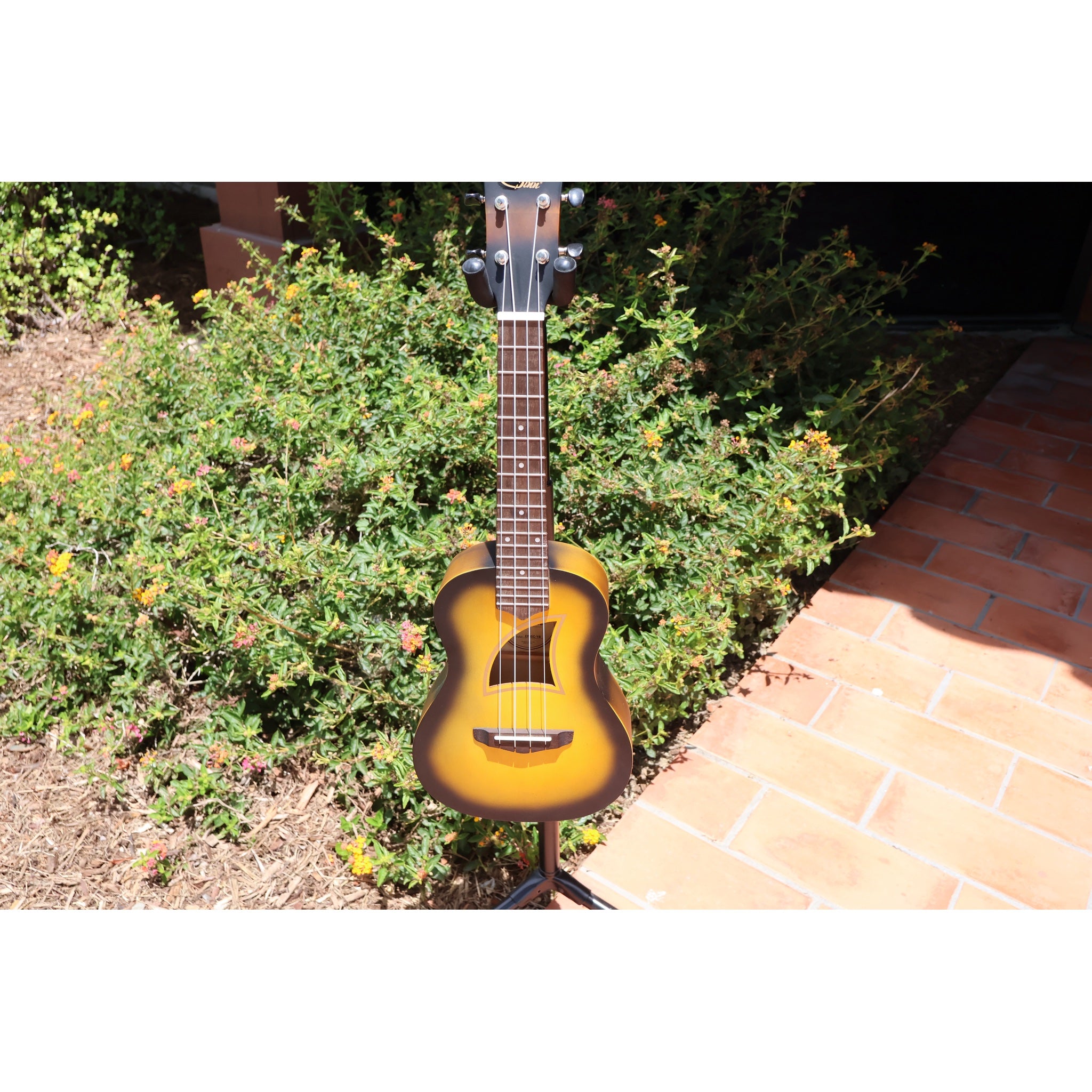 Eddy Finn Yellow Burst Concert Ukulele