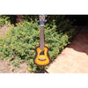 Eddy Finn Yellow Burst Concert Ukulele
