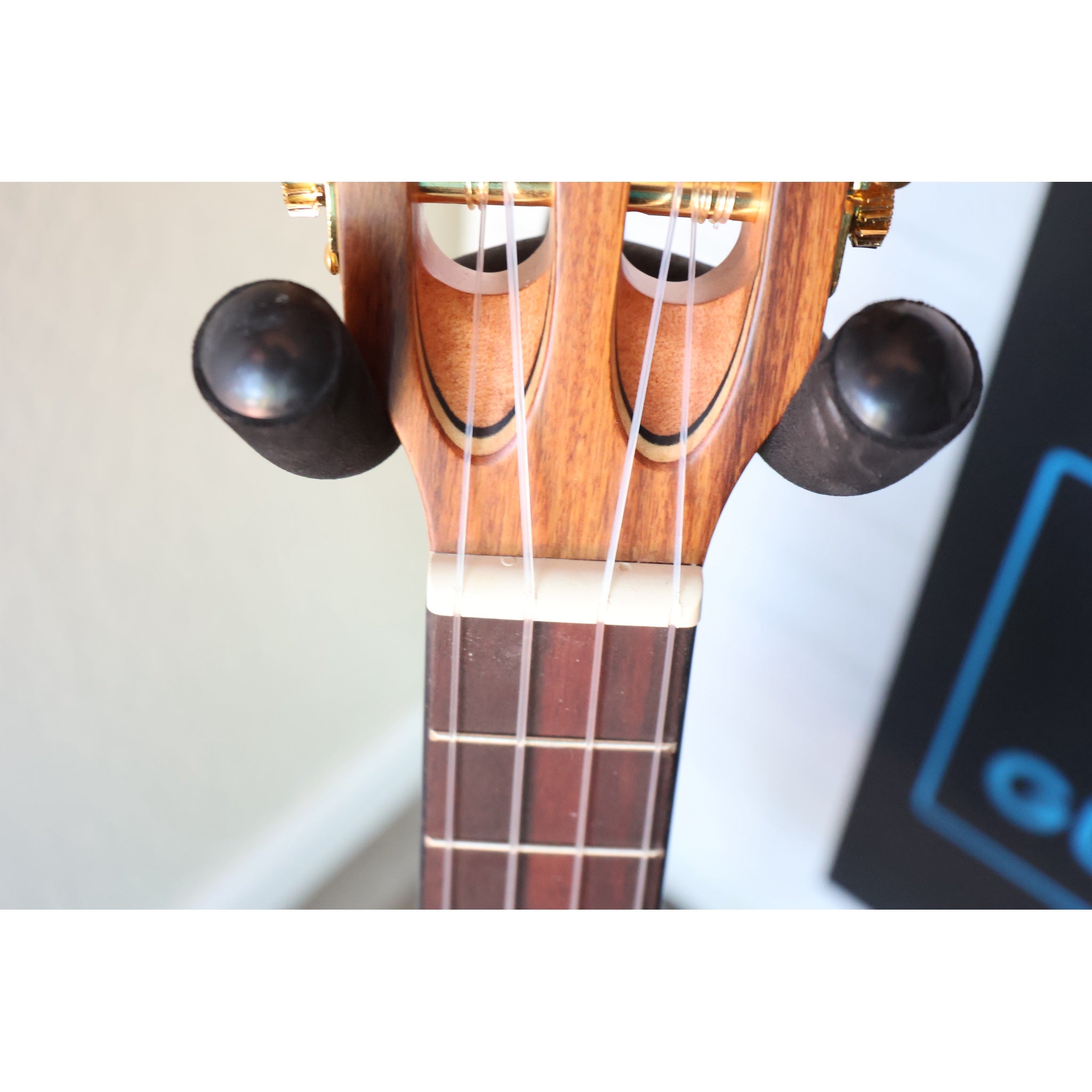 Kala Solid Cedar Top Pau Ferro Tenor Ukulele – KA-ASCP-T