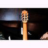 Córdoba C1 Gloss Classical Guitar with Gig Bag