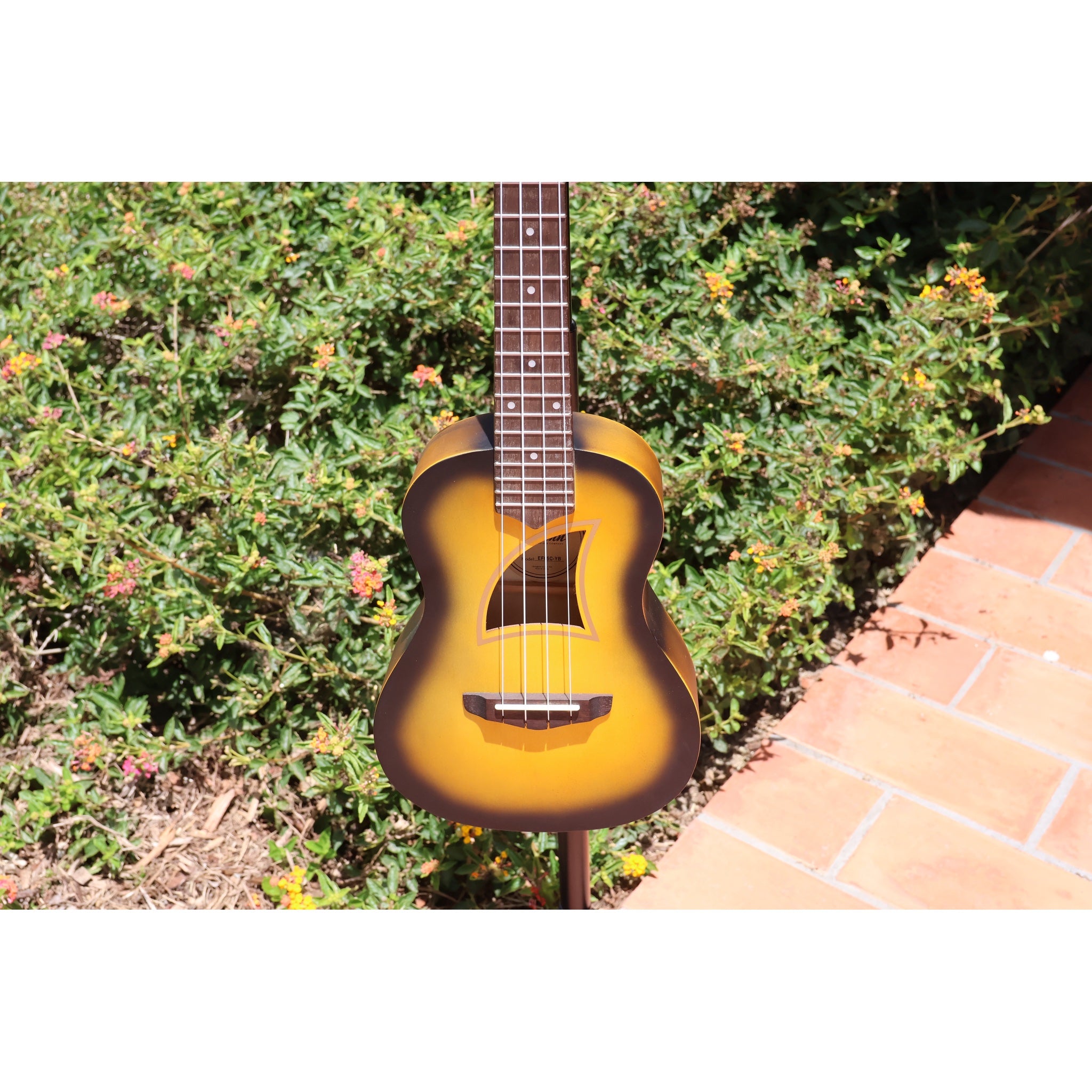 Eddy Finn Yellow Burst Concert Ukulele