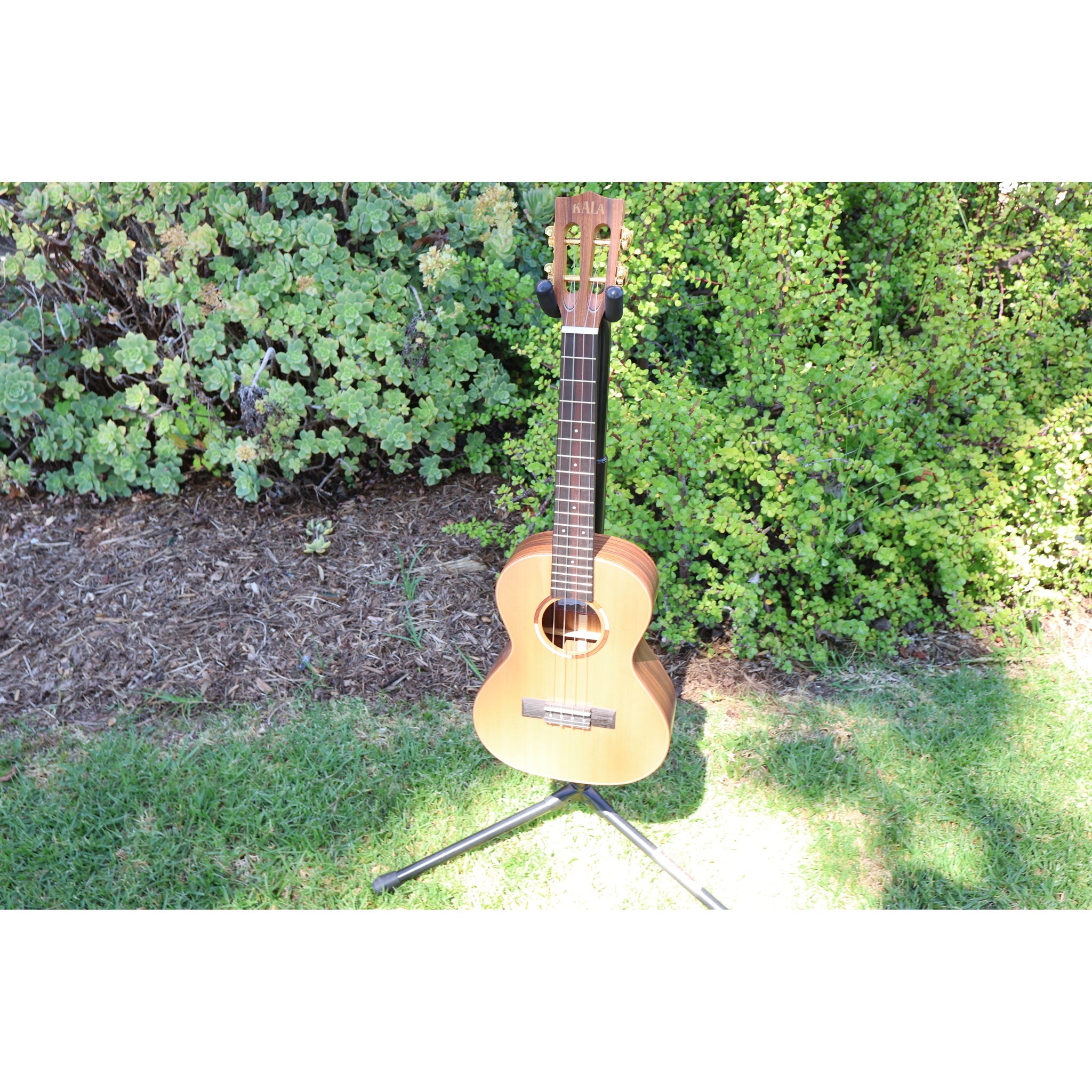 Kala Solid Cedar Top Pau Ferro Tenor Ukulele – KA-ASCP-T