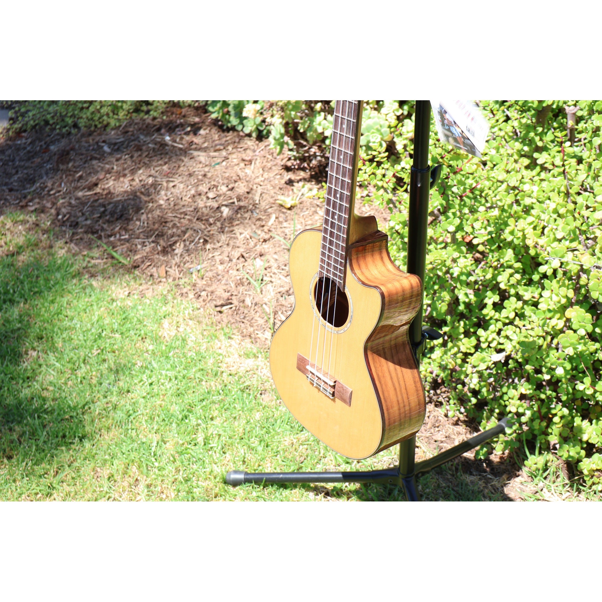 Kala KA-SCAC-T-CE Solid Cedar Top Acacia Tenor Cutaway Acoustic-Electric Ukulele with Fishman Kula EQ