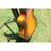Breedlove Pursuit Exotic S Companion Tiger's Eye CE Myrtlewood-Myrtlewood — CC250205209