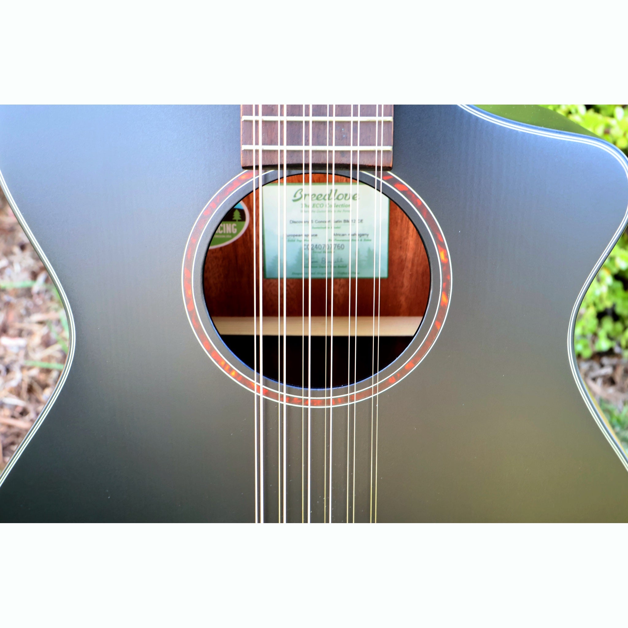 Breedlove Discovery S Concert Satin Black 12 String CE European-African Mahogany