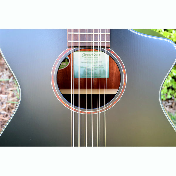 Breedlove Discovery S Concert Satin Black 12 String CE European-African Mahogany