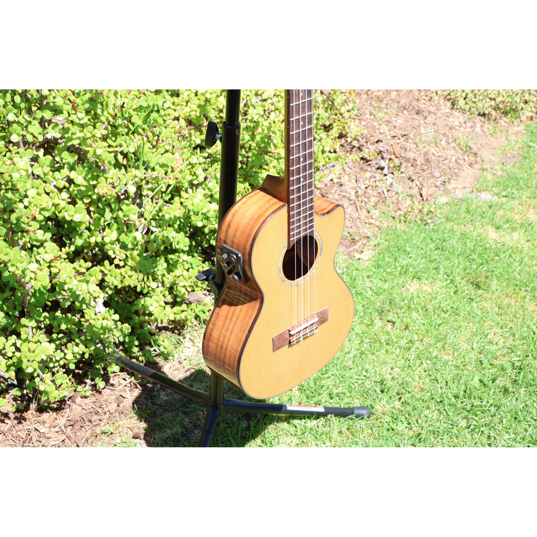 Kala KA-SCAC-T-CE Solid Cedar Top Acacia Tenor Cutaway Acoustic-Electric Ukulele with Fishman Kula EQ