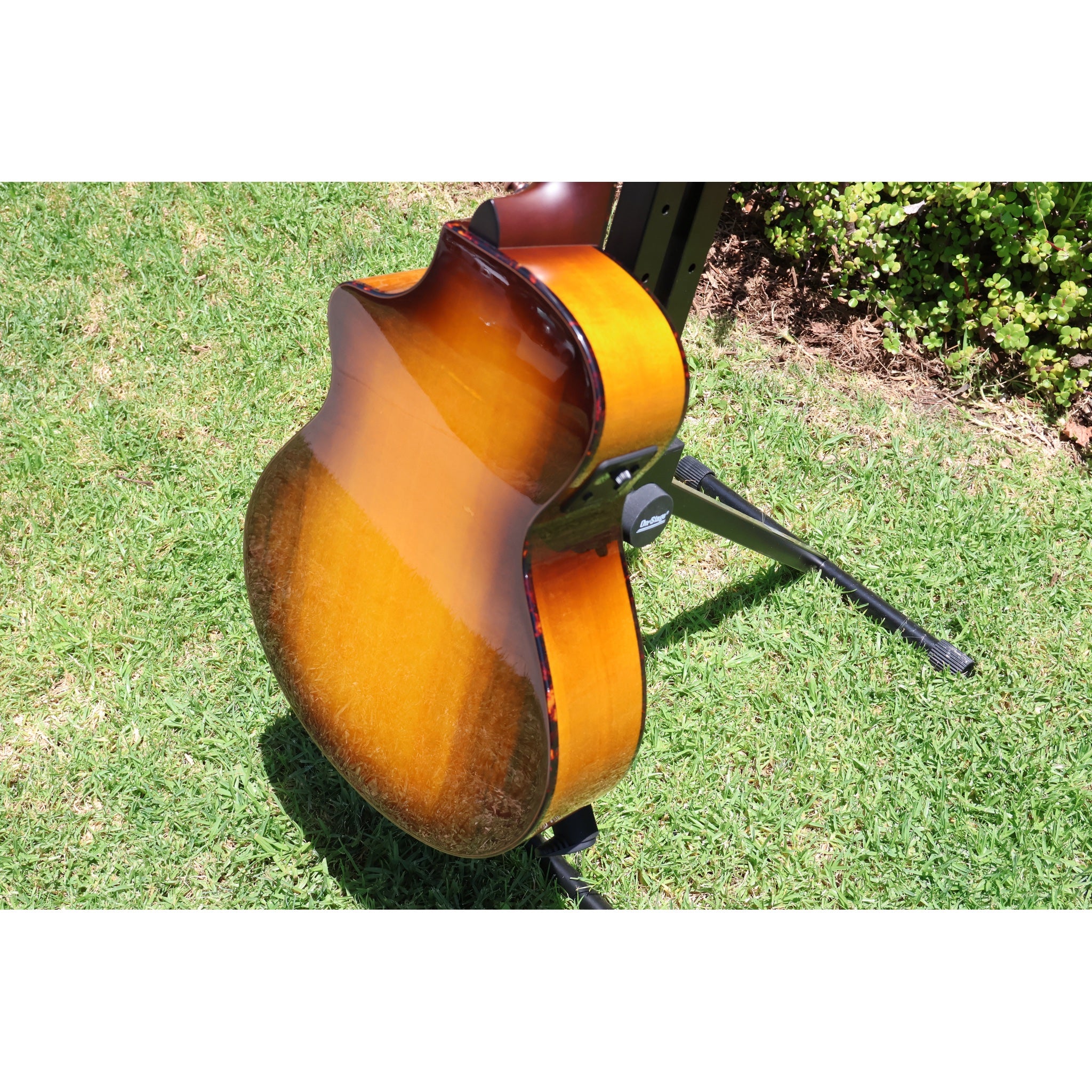 Breedlove Pursuit Exotic S Companion Tiger's Eye CE Myrtlewood-Myrtlewood — CC250205209