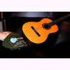 Córdoba C1 Gloss Classical Guitar with Gig Bag