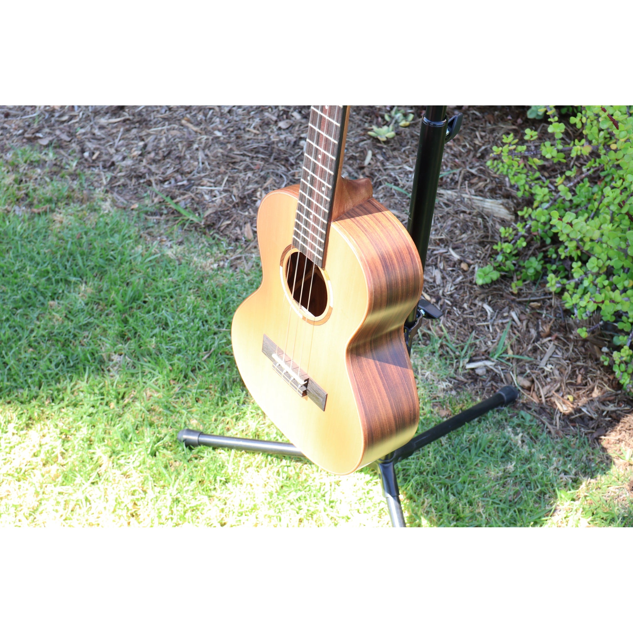 Kala Solid Cedar Top Pau Ferro Tenor Ukulele – KA-ASCP-T