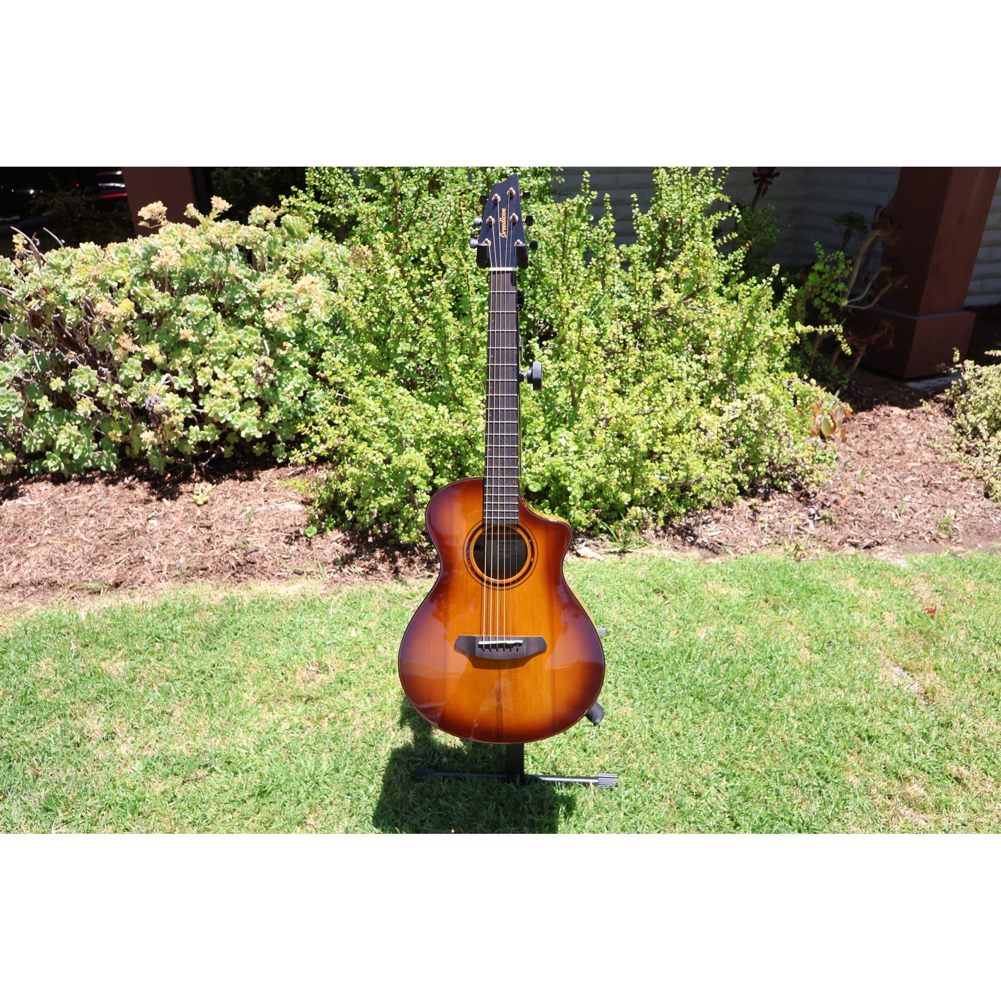 Breedlove Pursuit Exotic S Companion Tiger's Eye CE Myrtlewood-Myrtlewood — CC250205209