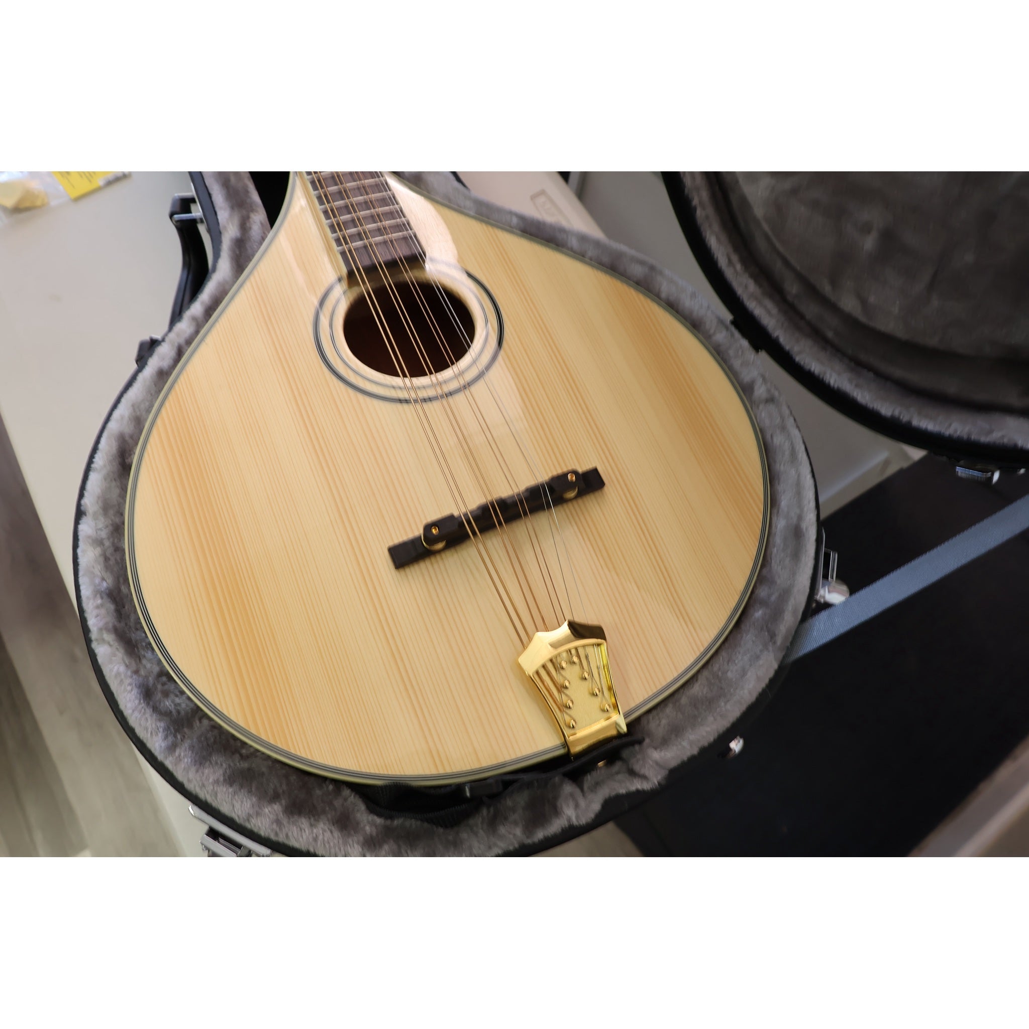 Gold Tone OM-800+ Octave Mandolin with Case