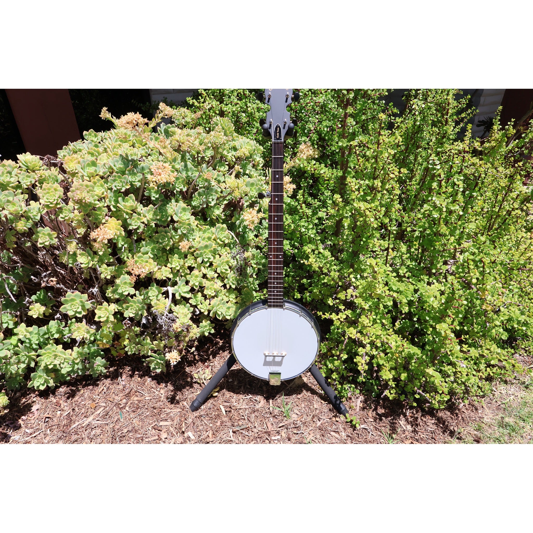 Gold Tone AC-1 5-String Openback Banjo with Gig Bag