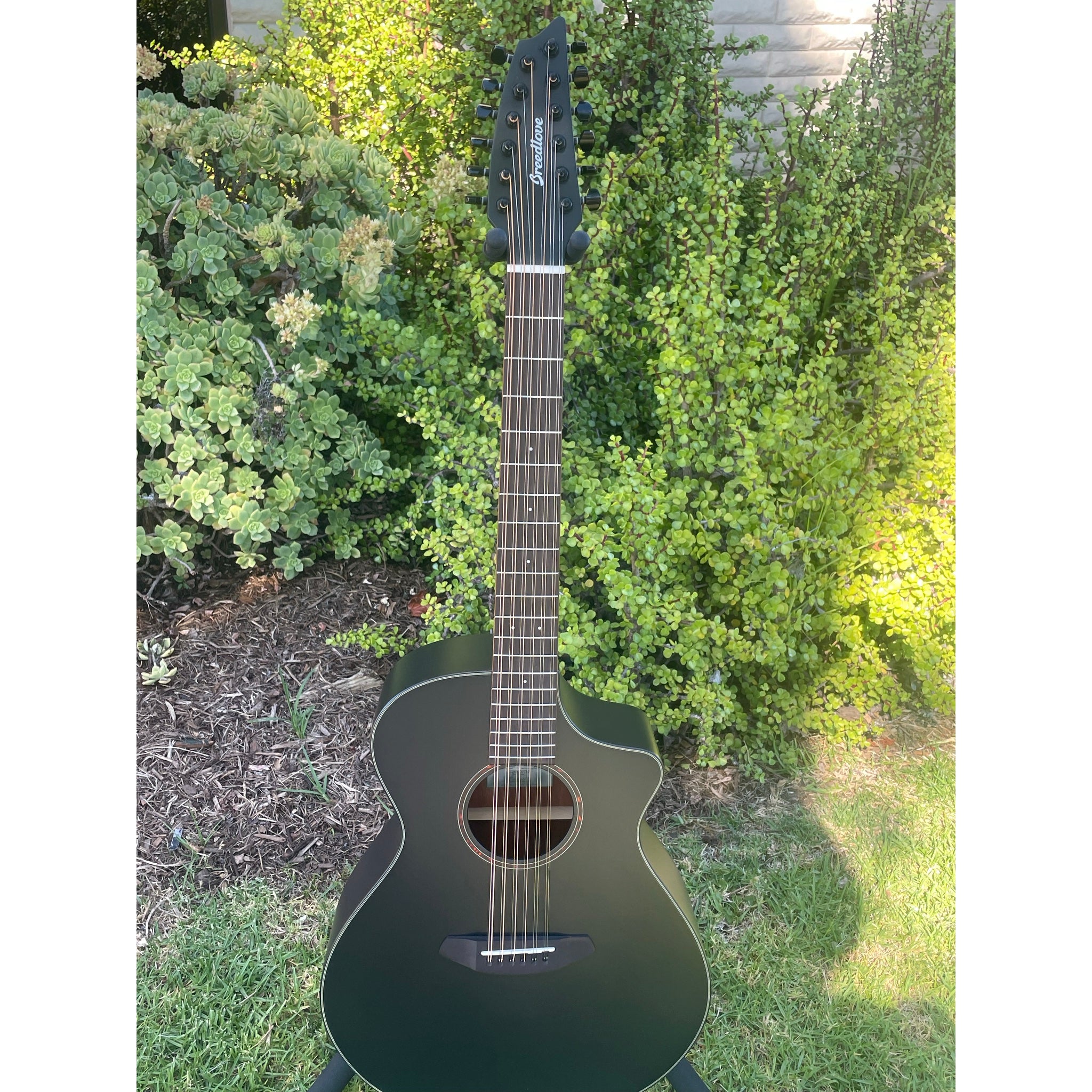 Breedlove Discovery S Concert Satin Black 12 String CE European-African Mahogany