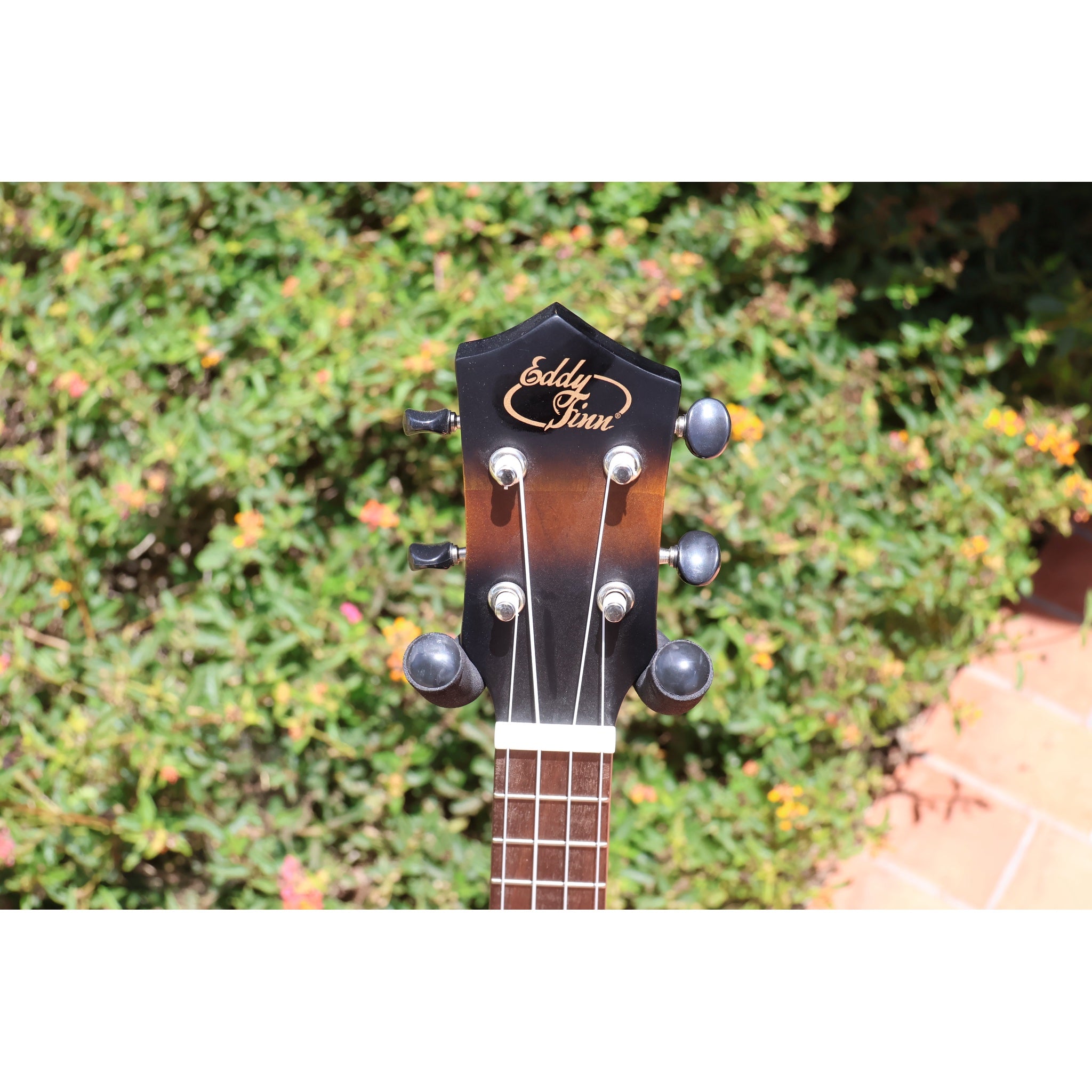 Eddy Finn Yellow Burst Concert Ukulele