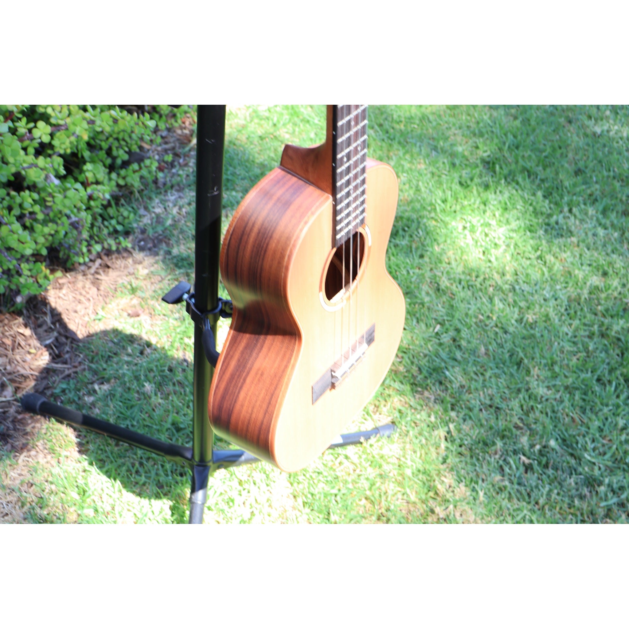 Kala Solid Cedar Top Pau Ferro Tenor Ukulele – KA-ASCP-T