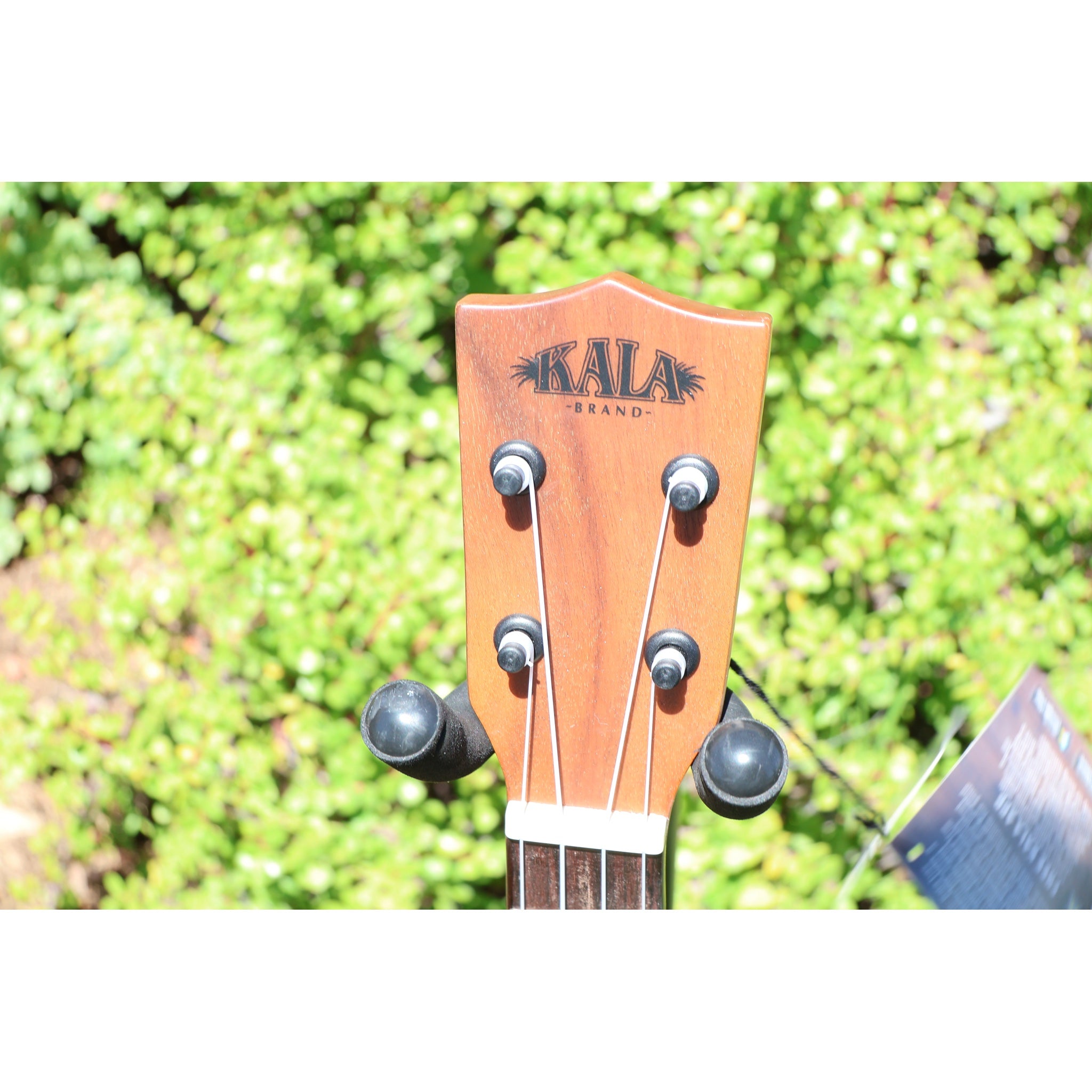 Kala KA-SCAC-T-CE Solid Cedar Top Acacia Tenor Cutaway Acoustic-Electric Ukulele with Fishman Kula EQ