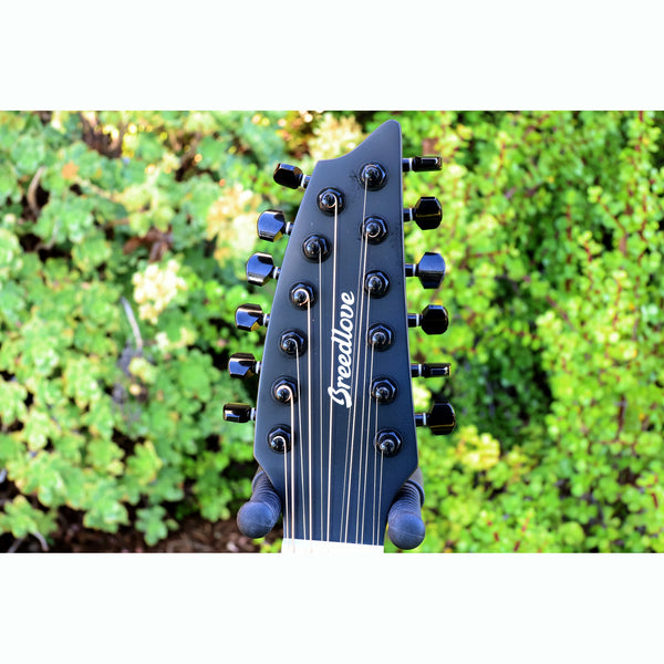 Breedlove Discovery S Concert Satin Black 12 String CE European-African Mahogany