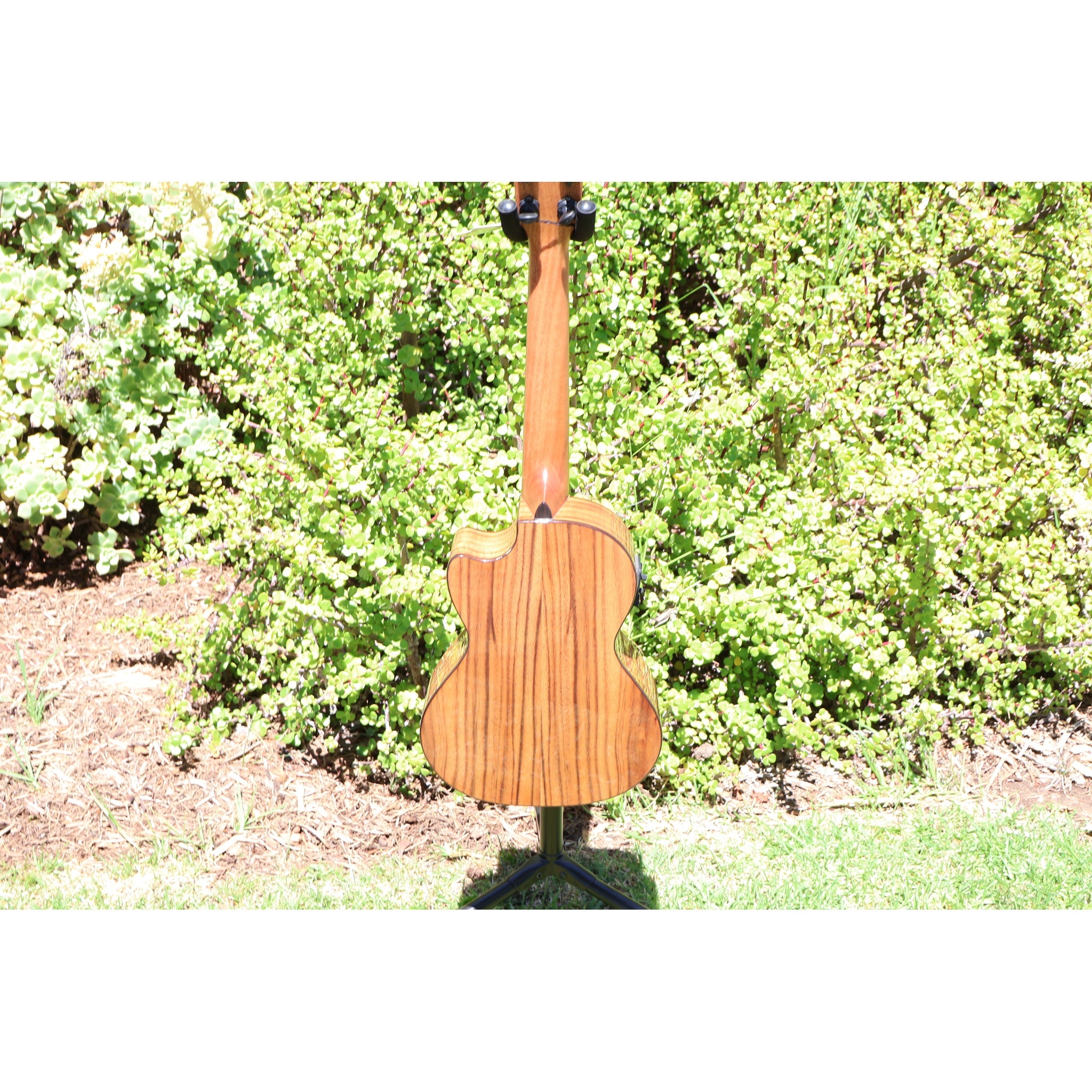 Kala KA-SCAC-T-CE Solid Cedar Top Acacia Tenor Cutaway Acoustic-Electric Ukulele with Fishman Kula EQ