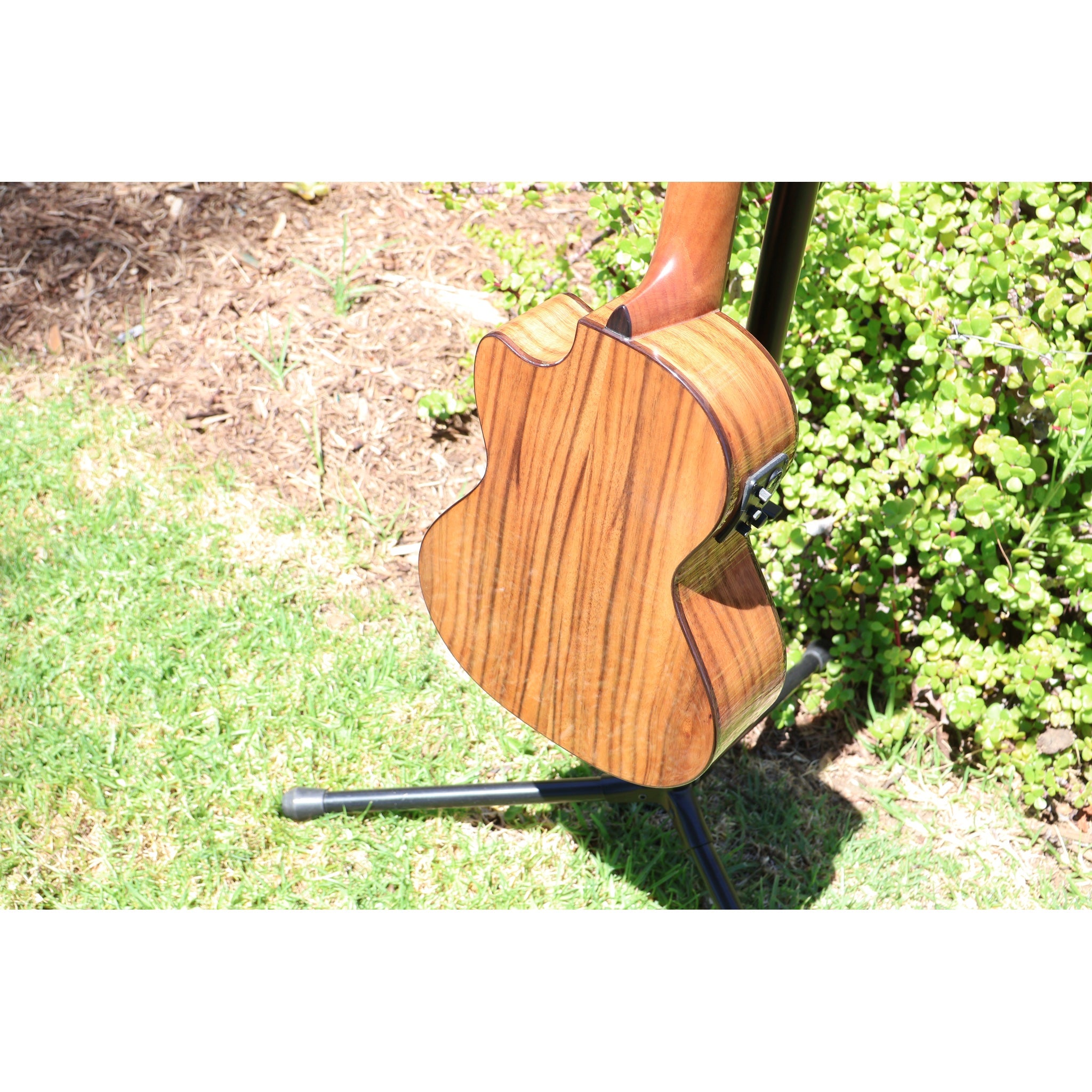 Kala KA-SCAC-T-CE Solid Cedar Top Acacia Tenor Cutaway Acoustic-Electric Ukulele with Fishman Kula EQ