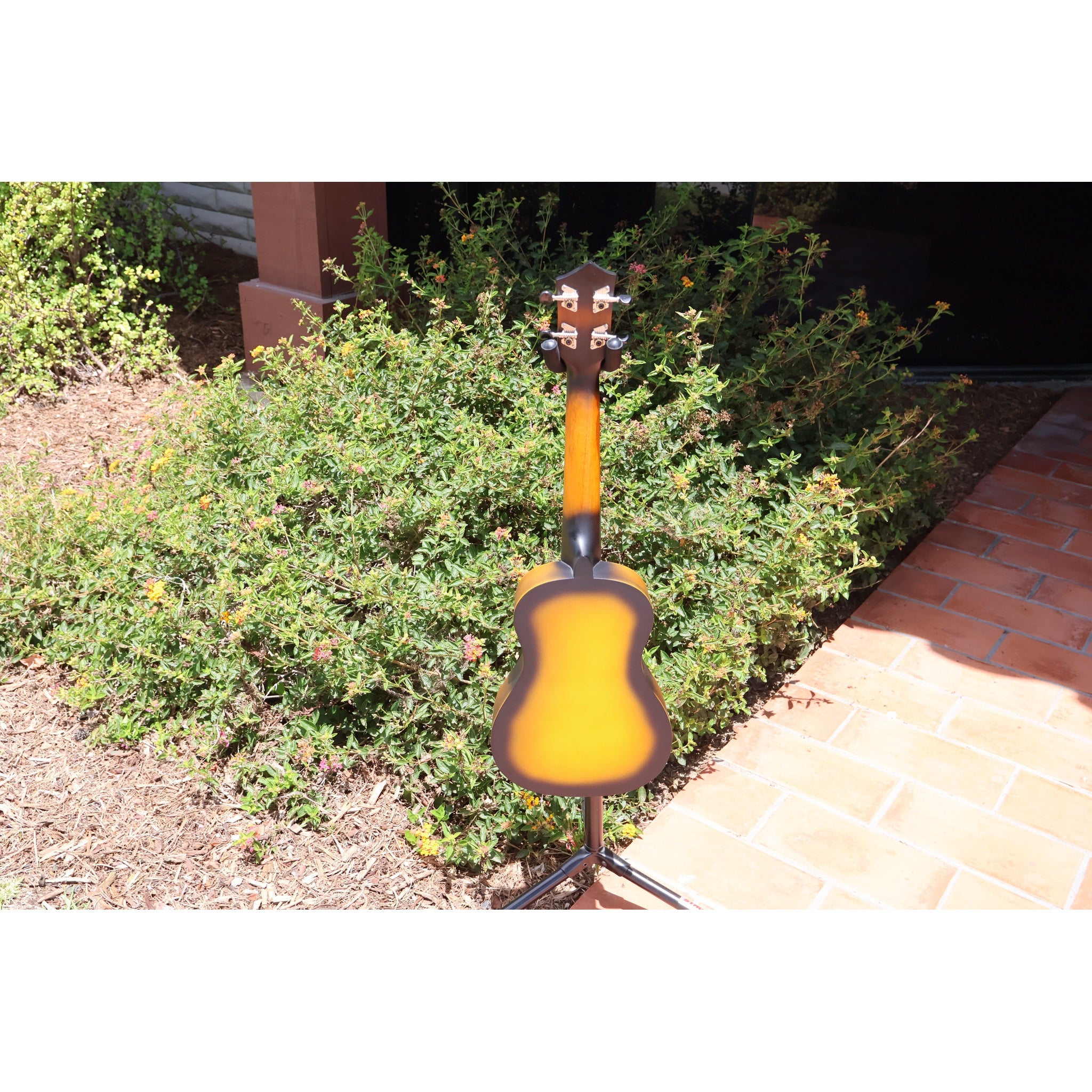 Eddy Finn Yellow Burst Concert Ukulele