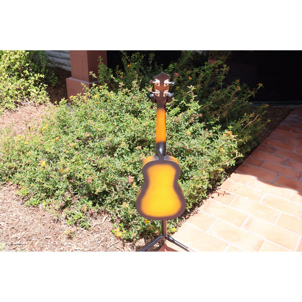 Eddy Finn Yellow Burst Concert Ukulele