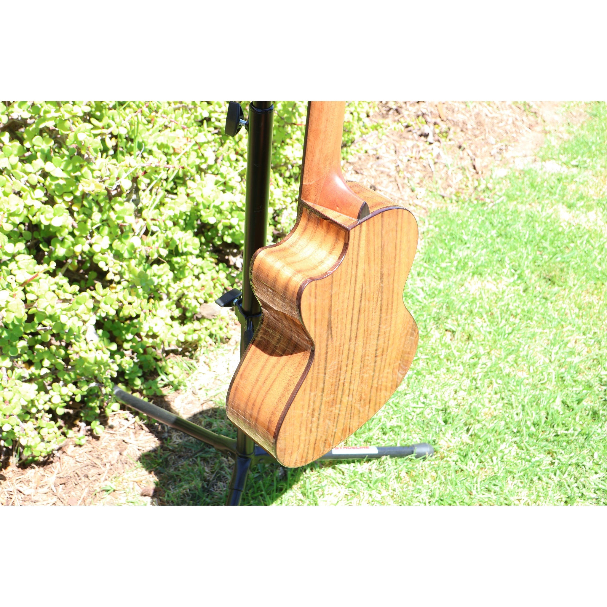 Kala KA-SCAC-T-CE Solid Cedar Top Acacia Tenor Cutaway Acoustic-Electric Ukulele with Fishman Kula EQ