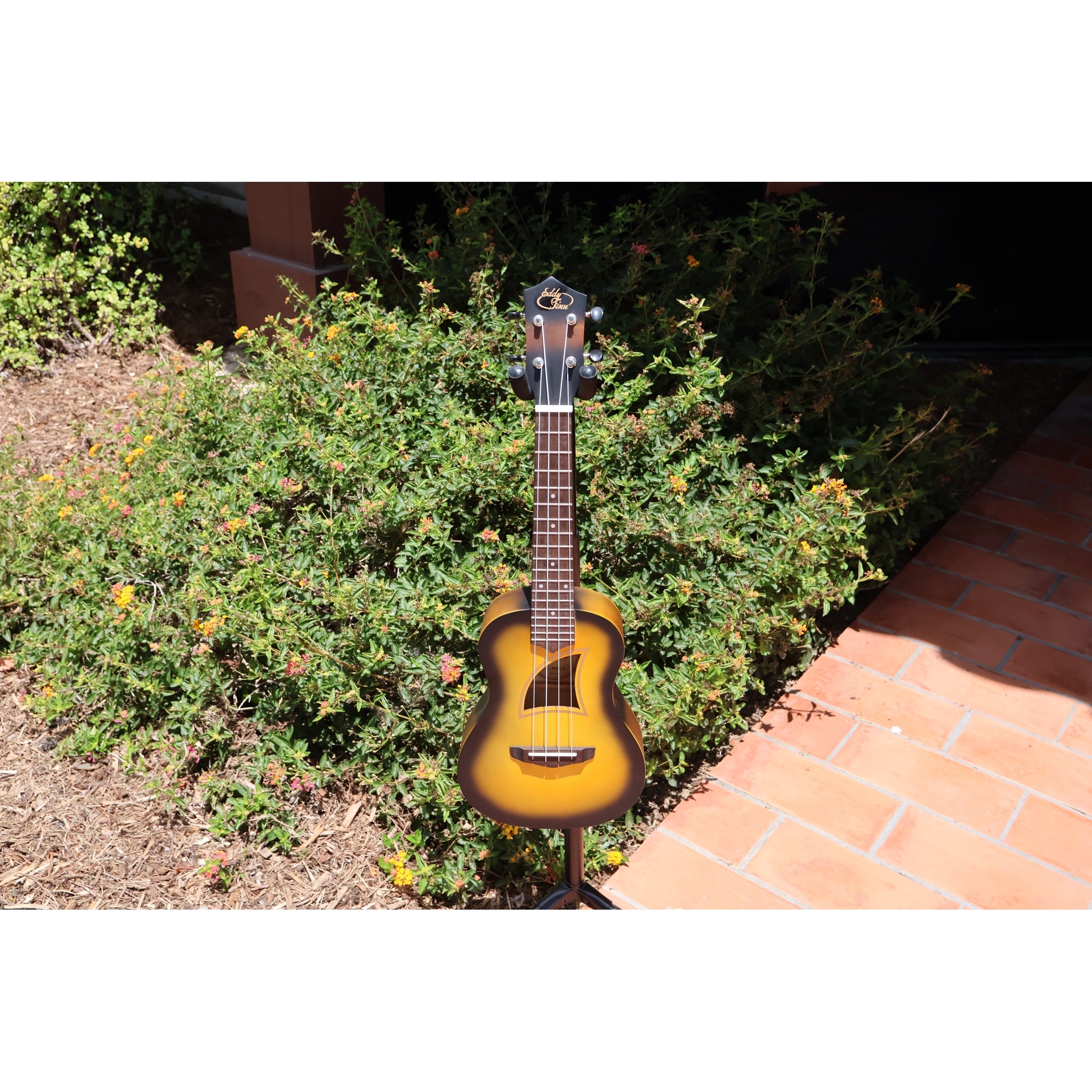 Eddy Finn Yellow Burst Concert Ukulele