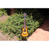 Eddy Finn Yellow Burst Concert Ukulele