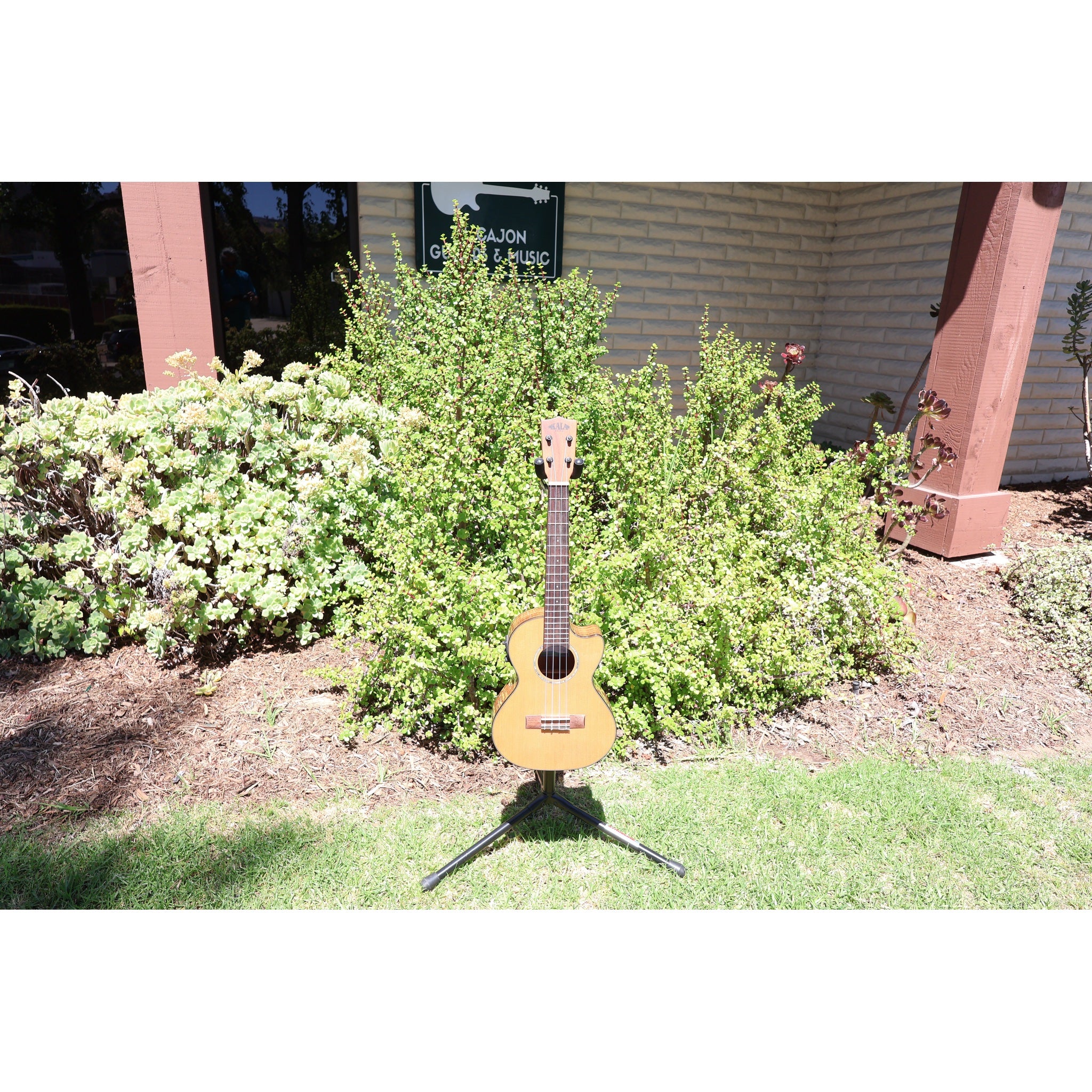 Kala KA-SCAC-T-CE Solid Cedar Top Acacia Tenor Cutaway Acoustic-Electric Ukulele with Fishman Kula EQ
