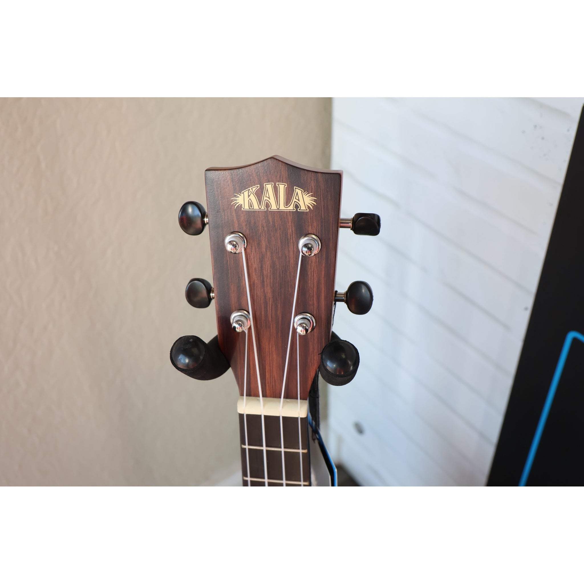 Kala Solid Spruce Top Striped Ebony Tenor Ukulele – KA-SSEBY-T