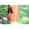 Kala Solid Cedar Top Pau Ferro Tenor Ukulele – KA-ASCP-T