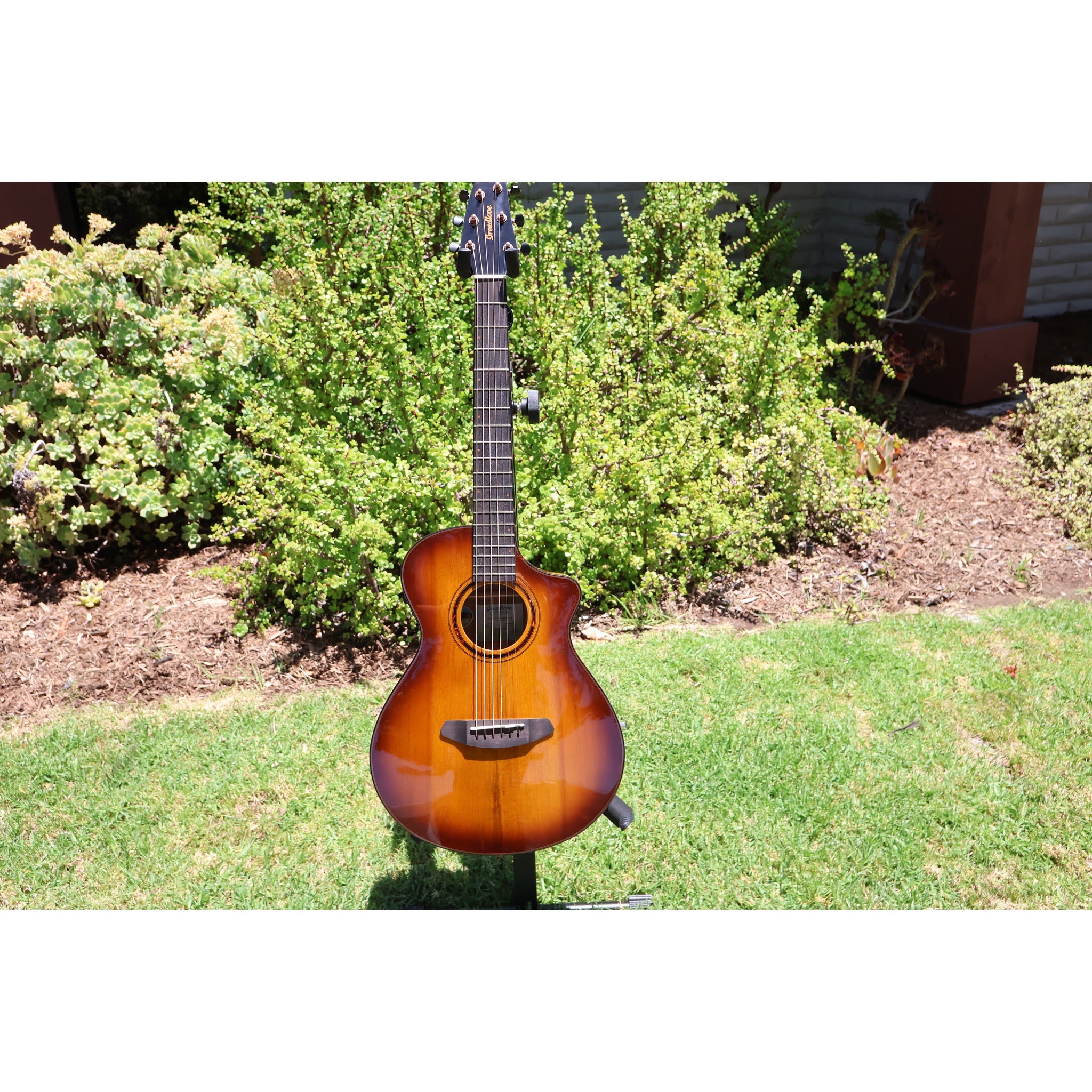 Breedlove Pursuit Exotic S Companion Tiger's Eye CE Myrtlewood-Myrtlewood — CC250205209