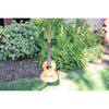 Kala Solid Cedar Top Pau Ferro Tenor Ukulele – KA-ASCP-T