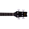 Washburn SB4B Wing Series Scavenger Bass - Black