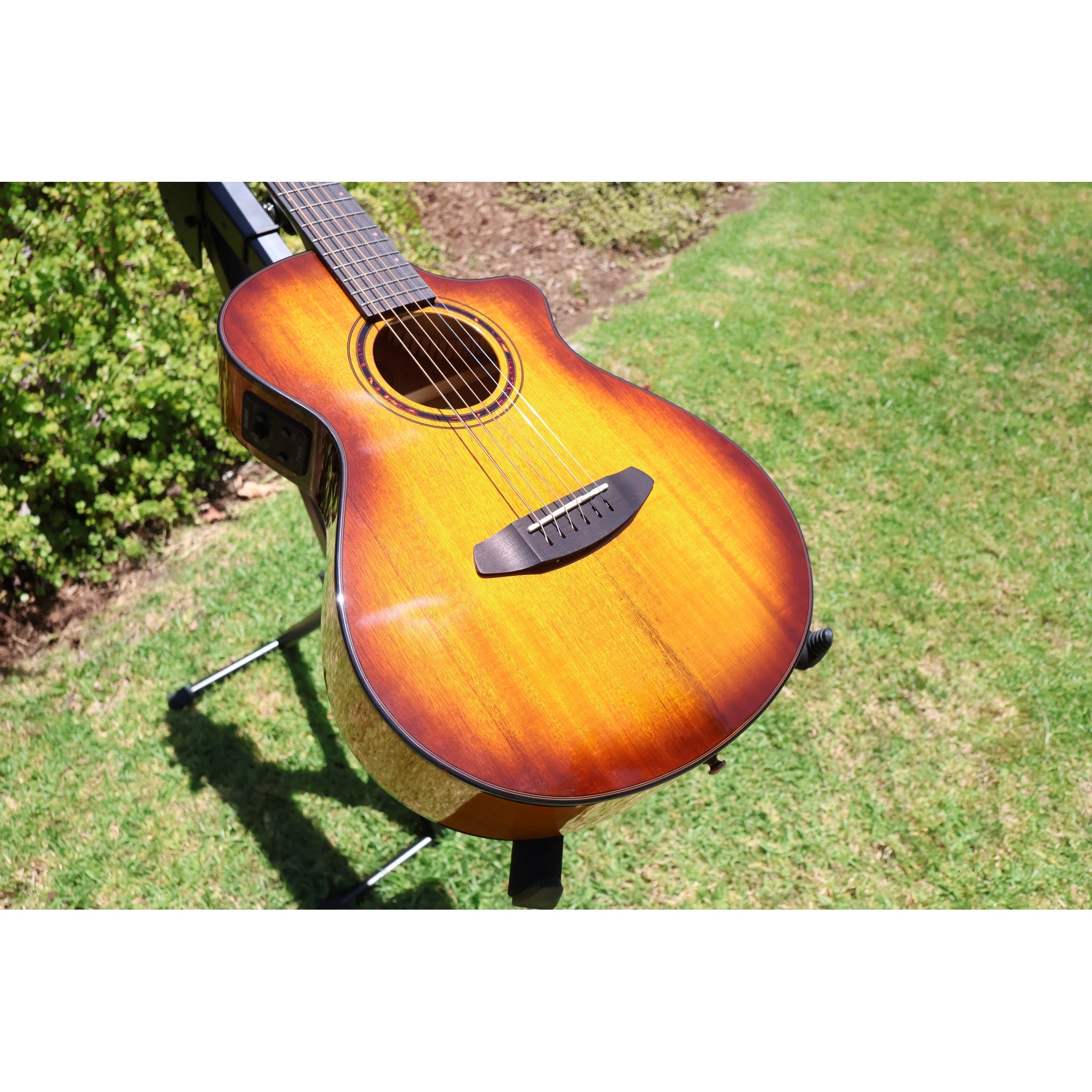Breedlove Pursuit Exotic S Companion Tiger's Eye CE Myrtlewood-Myrtlewood — CC250205209