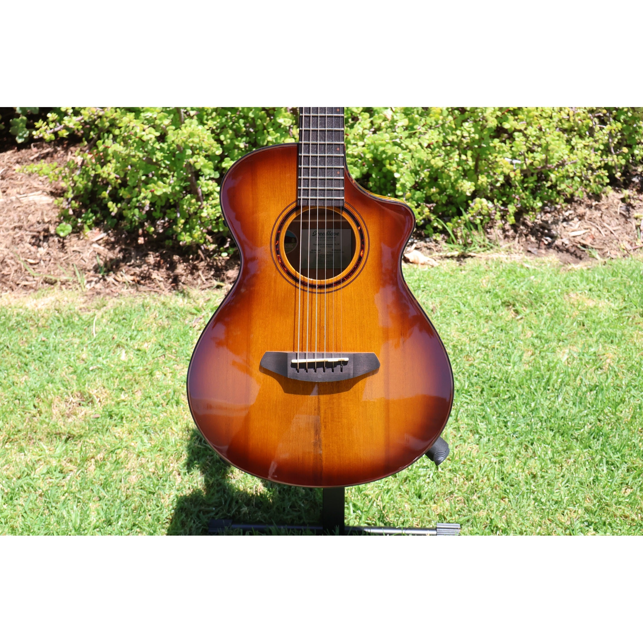 Breedlove Pursuit Exotic S Companion Tiger's Eye CE Myrtlewood-Myrtlewood — CC250205209