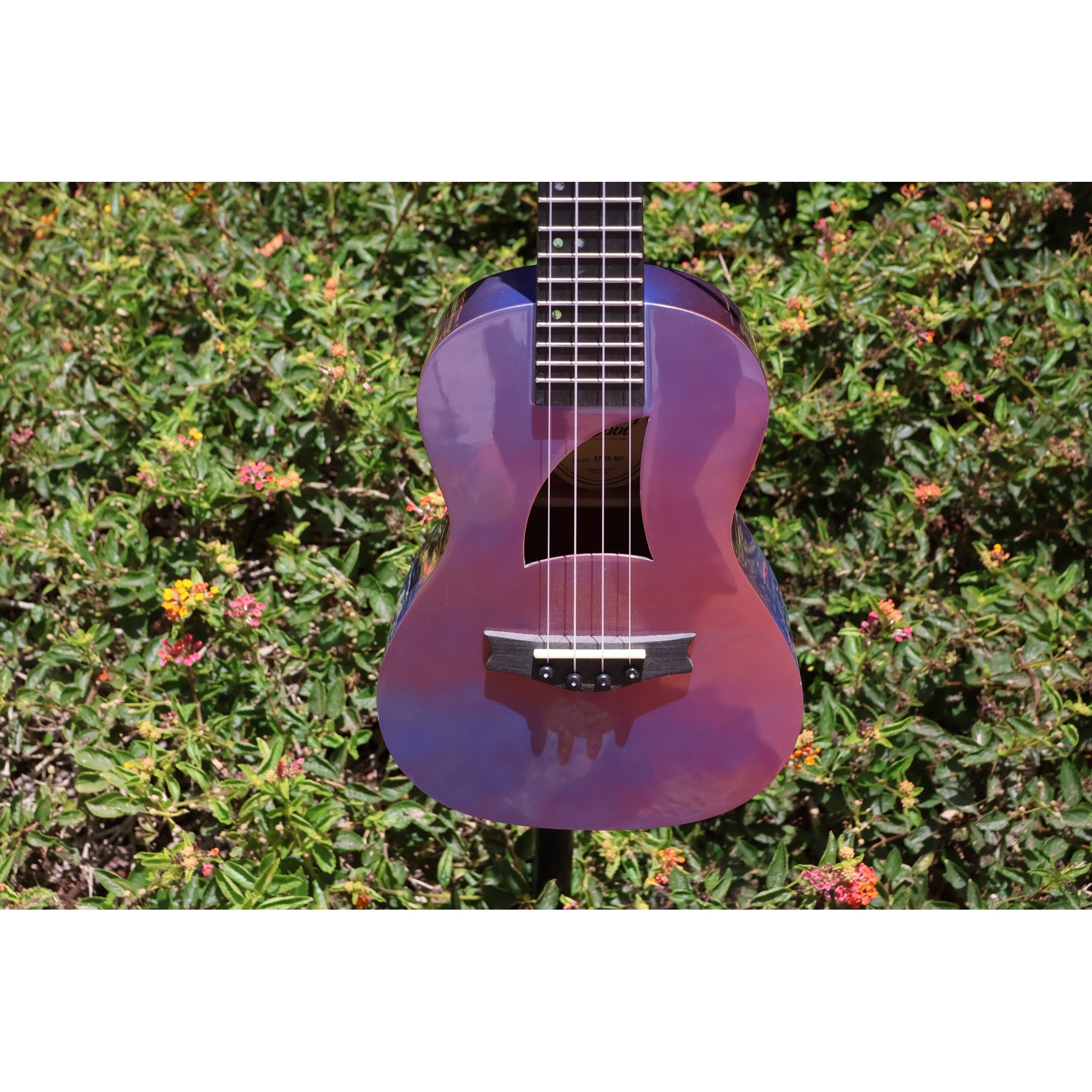 Eddy Finn Ocean King Purple Sparkle Concert Ukulele